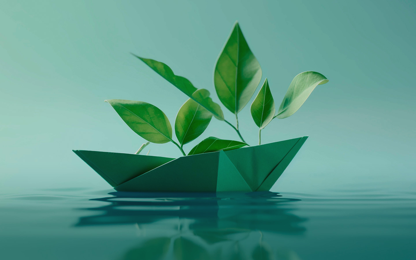 Indopacific Global Holdings Pte. Ltd.