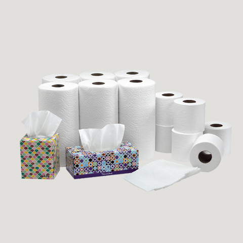 Tissue - Indopacific Global Holdings Pte. Ltd.